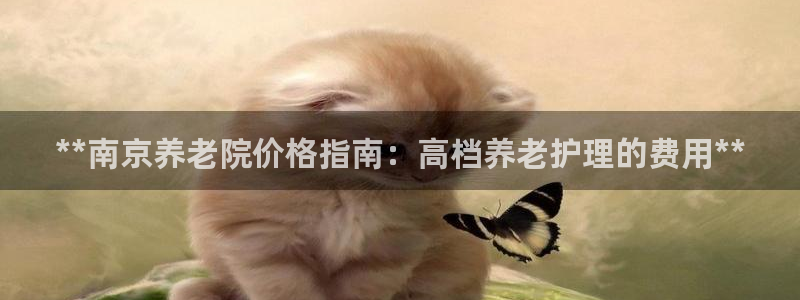 韦德观战总决赛G3