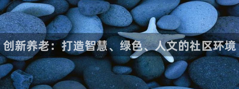 韦德游戏是什么