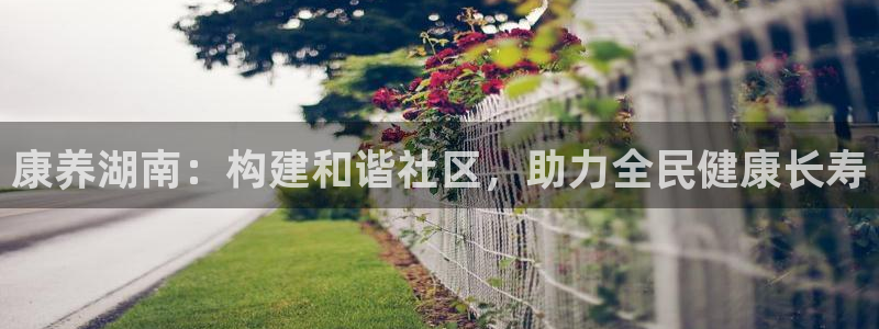 韦德1946国际