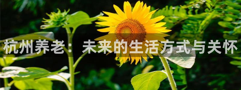 韦德1946体育官方入口