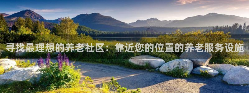 韦德属于什么