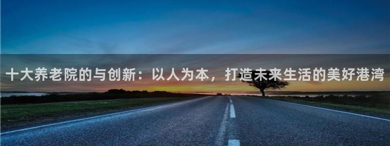 韦德网站是多少