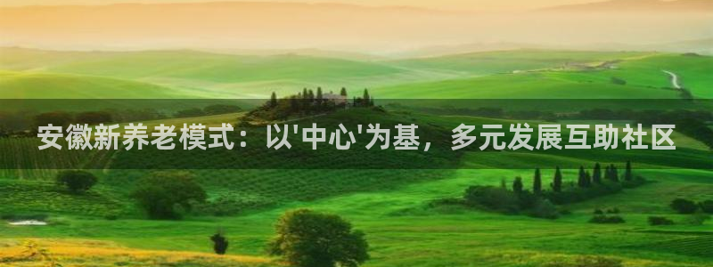韦德2014