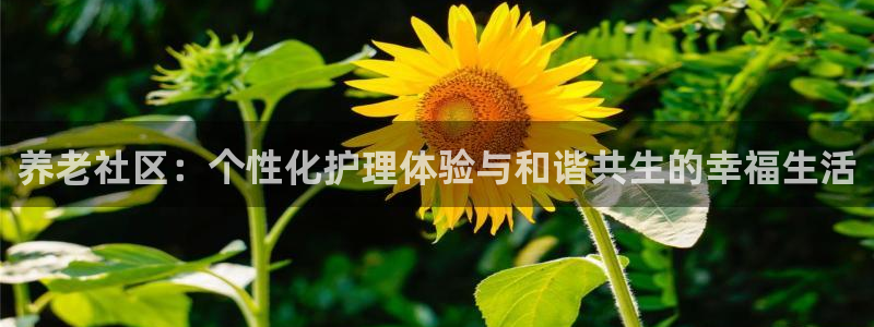 韦德事件