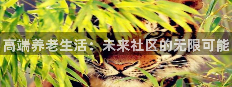 韦德官网在线