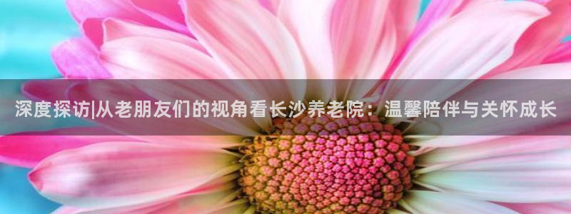 韦德1946官方