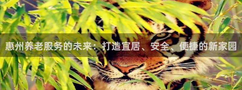 韦德国际体育