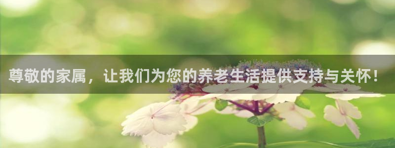 韦德1567
