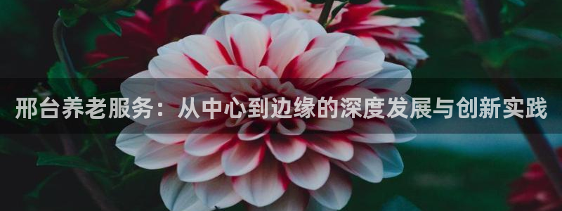 韦德国际1946官网