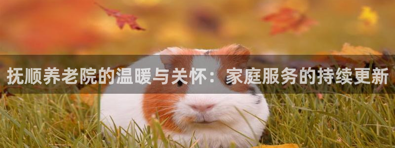 韦德app官方网站