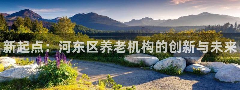 韦德 网站