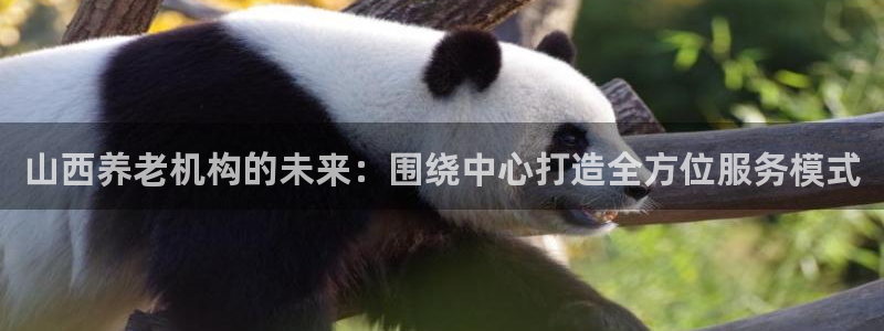 韦德1946网址