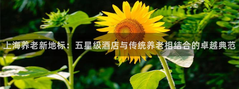 韦德观战总决赛G3