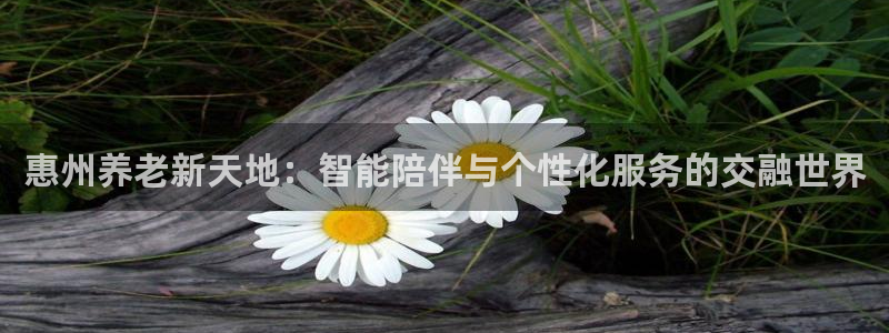 韦德1946网址