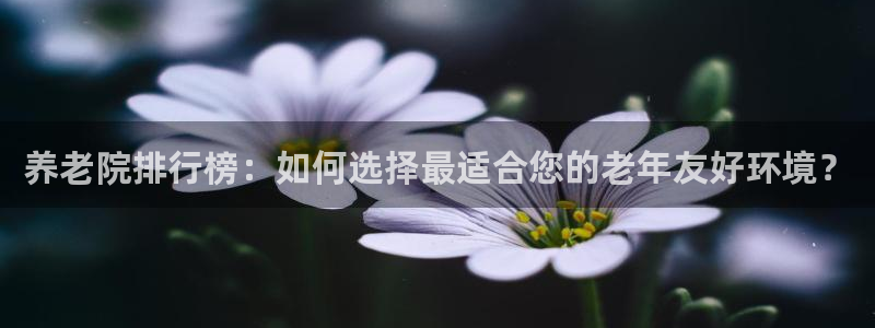 韦德2016