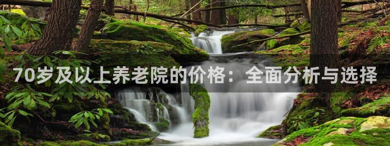 韦德的地位