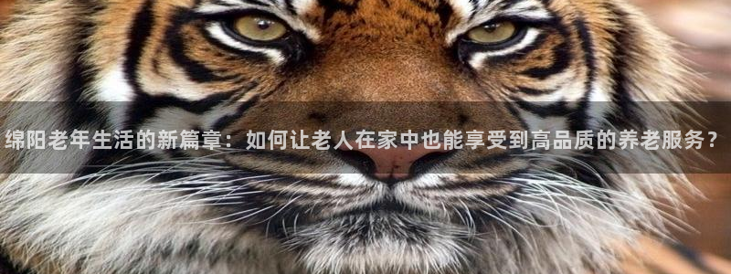 韦德app手机下载