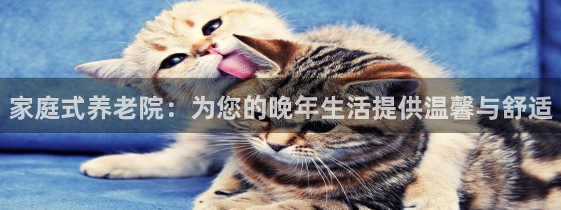 1946韦德游戏