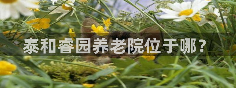 韦德 1946