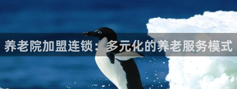 1946韦德游戏