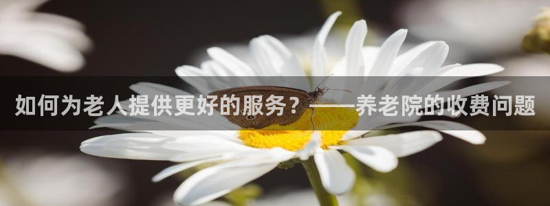 韦德1946下载