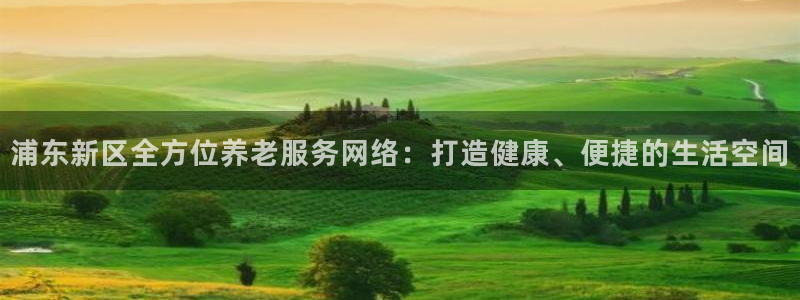 韦德新品