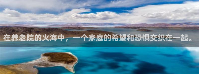 韦德 网址