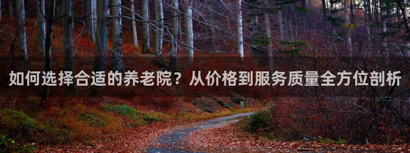韦德1946国际