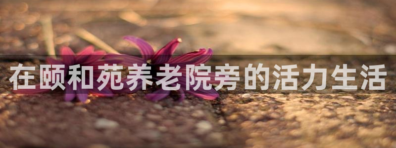 韦德 网站