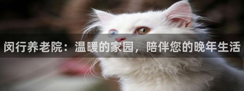 韦德全系列