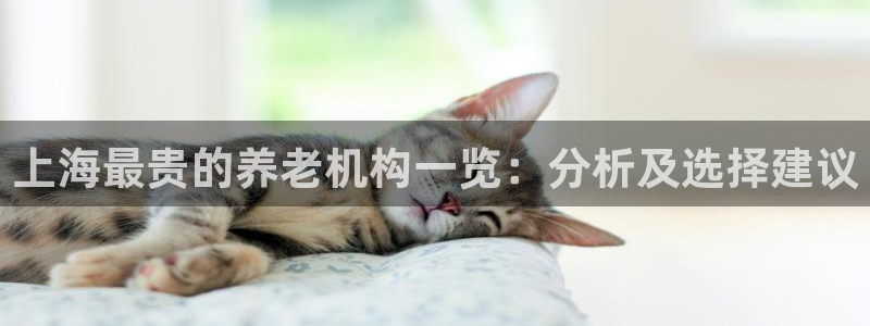 韦德1946手机网址