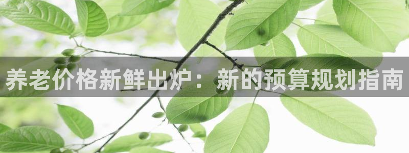 韦德1946bet