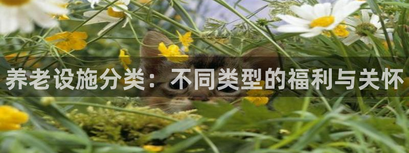 韦德1946手机网址