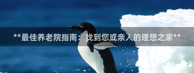 韦德1946游戏