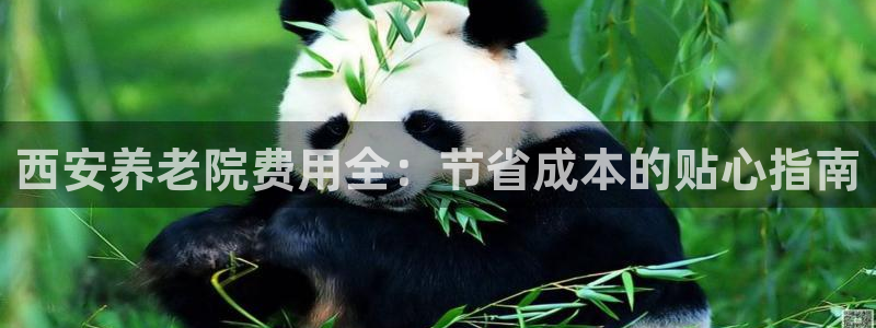 韦德8月22日开启中国行
