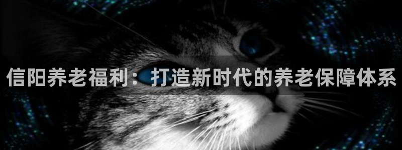 韦德的游戏