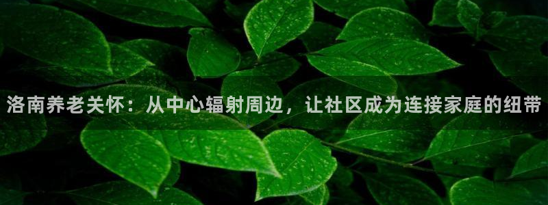韦德新品