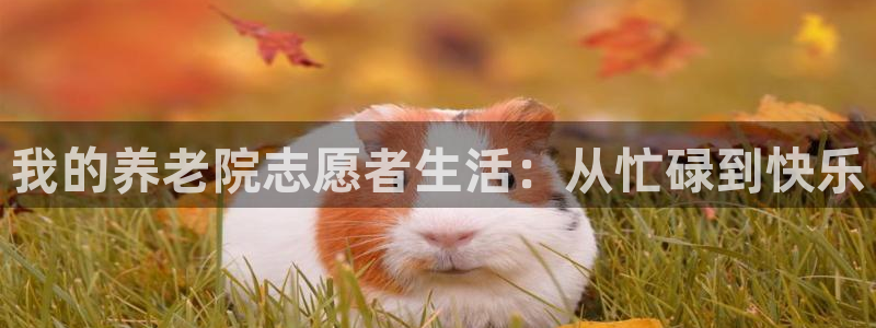 韦德1946官网最新版