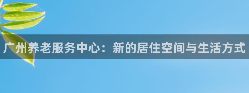 韦德网站是多少